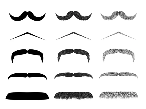 Set of various vector moustaches — Stock Vector