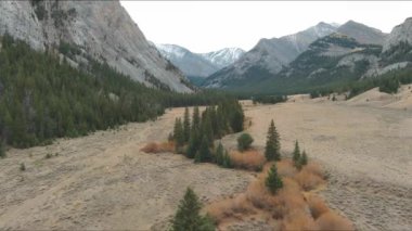 Küçük dere, Idaho 'nun vahşi doğasında sonbahar renklerinde bitkilerle kararlıydı.
