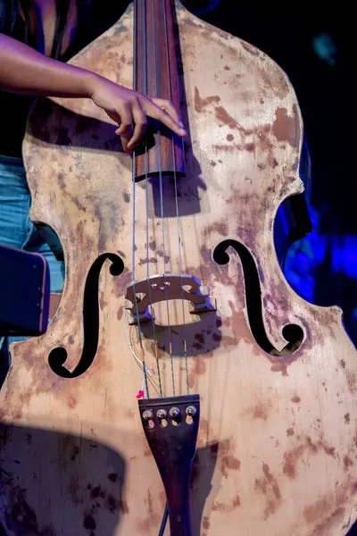 Музыкант Играет Большую Струнную Базу Группы — стоковое фото