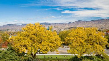 Şehir Parkı ve Boise Skyline sonbaharda