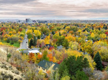Düşen renkli ağaçlar arasında Boise silueti 