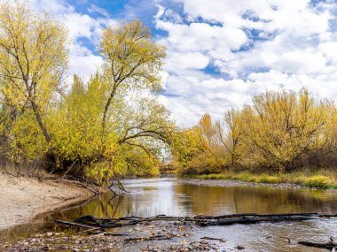 Sonbahar renkli ağaçlar Boise Nehri 'nin arkasında asılı.