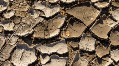Göl yatağındaki çatlak desenleri kuraklıktan kurudu.