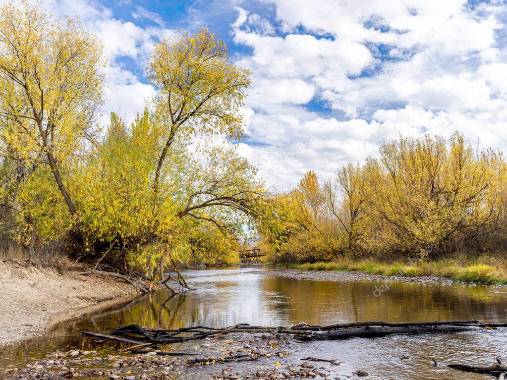 Fall colored trees hang over the backs of the Boise River