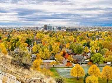Sonbahar ağaçları Boise silueti ile bir renk patlaması ile zemin örtüyor.