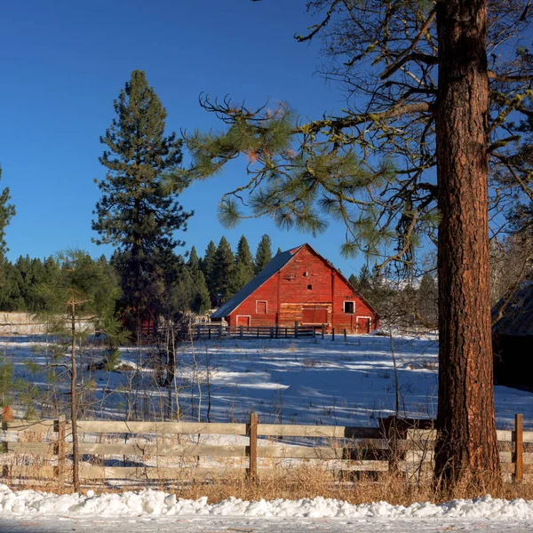 Schöne Rote Scheune Auf Einem Bauernhof Idaho Winter — Stockfoto