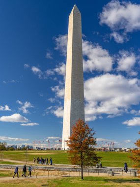 Sonbahar ağacı ve ziyaretçilerle birlikte Washington Anıt Parkı
