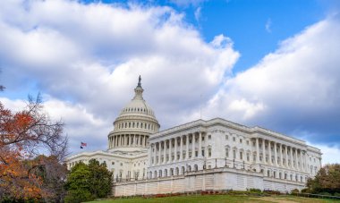 Washington 'daki başkentte bir sonbahar sabahı rüzgarda dalgalanan bayraklar.