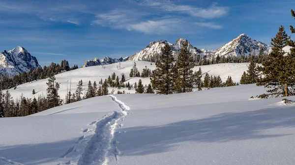 Pistas Nieve Conducen Las Altas Montañas Rocosas Idaho Sawtooths — Foto de Stock
