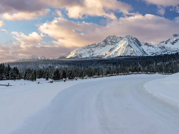 Camino Invierno Conduce Largo Bosque Las Montañas Sawtooth Idaho — Foto de Stock
