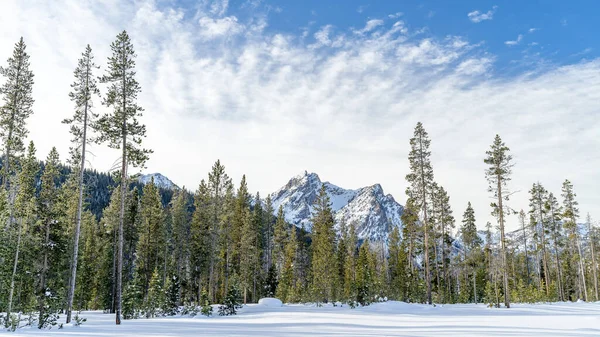 Idaho Desierto Dientes Sierra Invierno Una Mañana Nublada Con Bosque — Foto de Stock