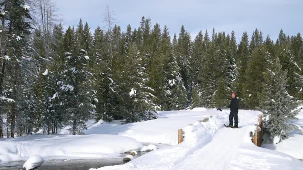 Winterprogramm Form Von Schneeschuhen Der Wildnis — Stockvideo