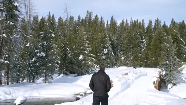 Зимний Вид Спорта Снегоступы Принимает Форму Этом Айдахо Зимний Лес — стоковое видео