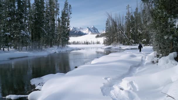 Doświadczony Człowiek Rakietach Śnieżnych Udaje Się Góry Sawtooth Idaho — Wideo stockowe