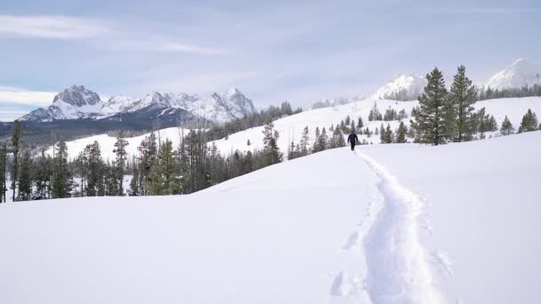 Idaho Daki Orman Nehir Dağların Ötesindeki Dağlara Kar Ayakkabısı Ile — Stok video