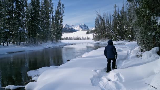Caminhando Sapatos Neve Através Uma Floresta Inverno Idaho — Vídeo de Stock