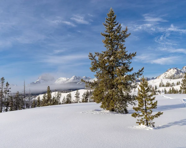 Escapada Invierno Con Niebla Montaña Desierto Idaho — Foto de Stock