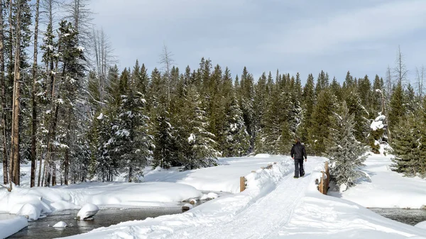 Packed trail leads over a winter river bridge being followed by snowshoer