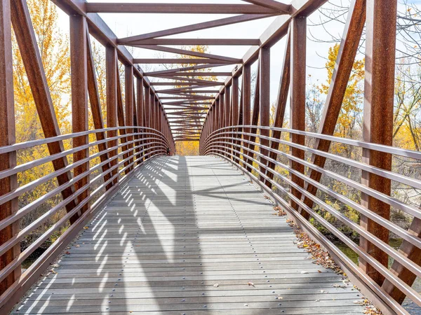 Árboles Otoñales Puente Peatonal Sobre Boise Rover — Foto de Stock
