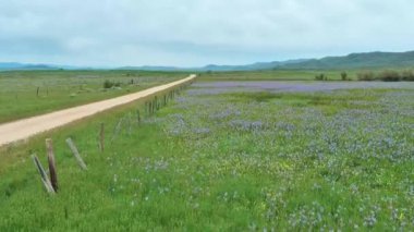 Idaho 'da çakıl yolu boyunca çit ve çiçekler.