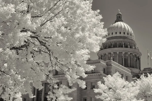 White Infrared Trees Side State Capital Idaho — Photo