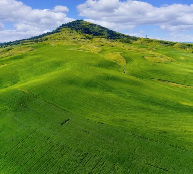 Green farm fields lead to the panicle of Steptoe Butte