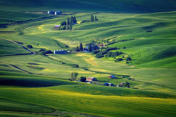 Beautiful Farm Land Barns Rich Green — Fotografia de Stock