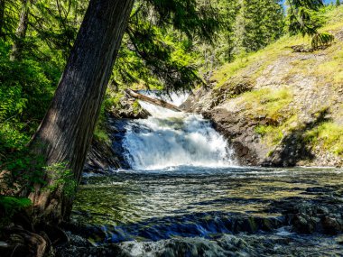 Elk River falls in the wilderness of northern Idaho