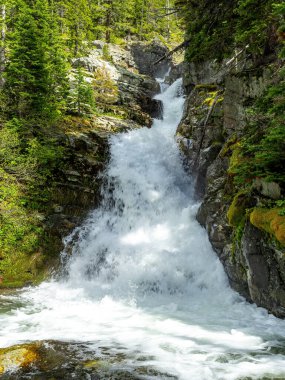 Spring flow water fall in Montana