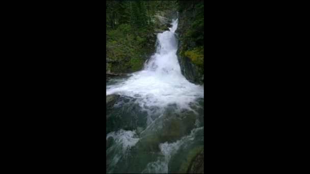 Waterfall Glacier National Park Waterfall — Stockvideo