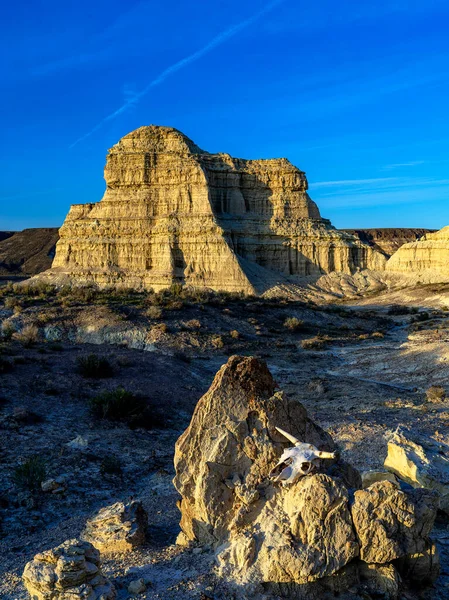 Desierto Oregon Con Picos Rocosos Cráneo Vaca — Foto de Stock