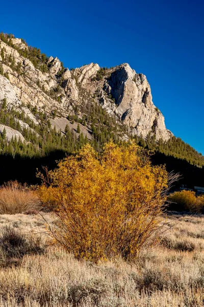 Arbusto Otoño Las Montañas Rocosas Idaho — Foto de Stock