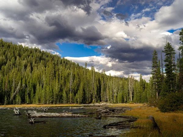 Friedlicher See Der Wildnis Von Idaho — Stockfoto