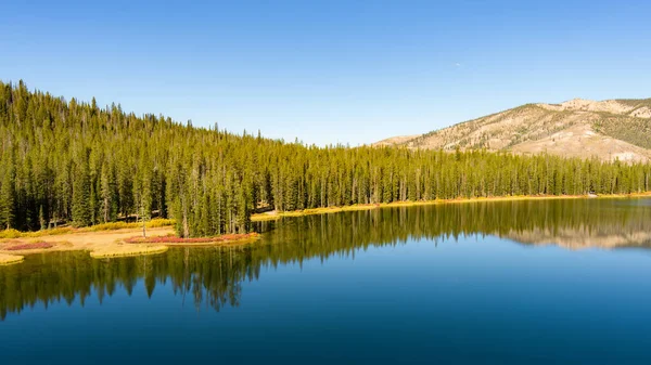 Reflexión Forestal Lago Remoto Idaho Imagen de stock