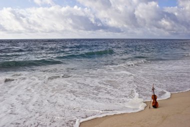 Violin and the Atlantic Ocean Seashore clipart