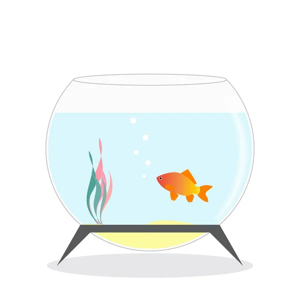 Goldfish Aquarium Print Illustration Children Vector Design White Background — ストックベクタ