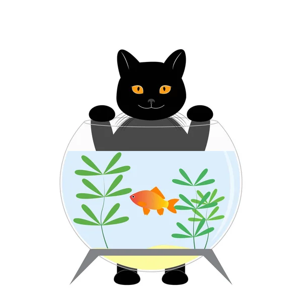 Fekete Macska Akvárium Mögött Van Macska Aranyhalat Akar Fogni Aranyos — Stock Vector