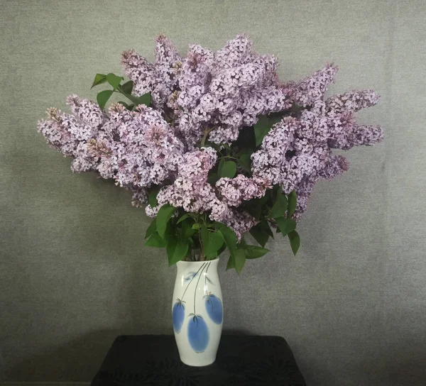 stock image The photo shows a luxurious large bouquet of purple lilacs in a white vase against a gray wall. retro photography