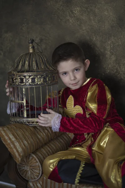 Boy dressed as medieval prince — Stock Photo, Image