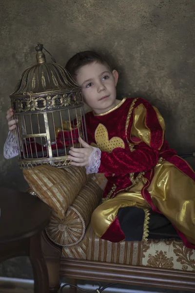 Boy dressed as medieval prince — Stock Photo, Image