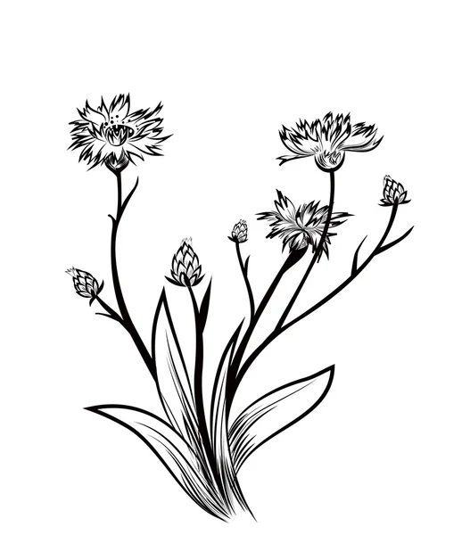 Flor de maíz — Vector de stock