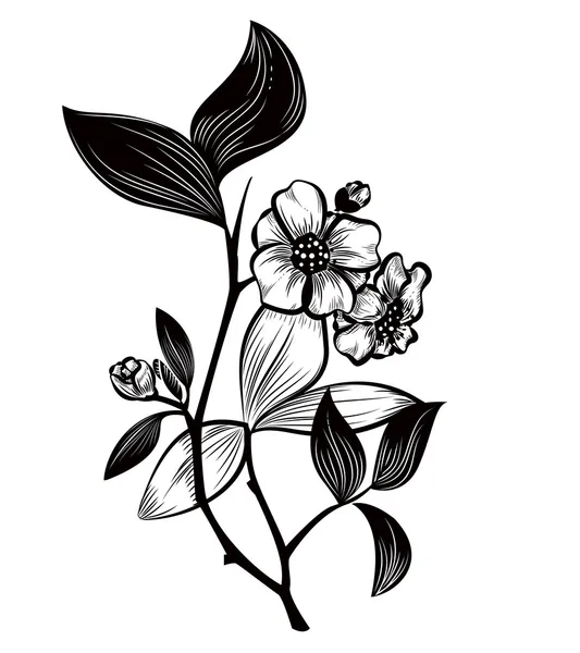 Plante de thé — Image vectorielle