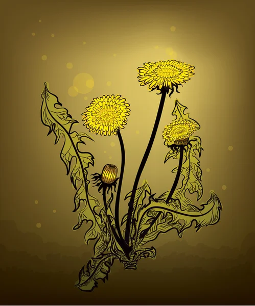 Dandelion — Stock Vector