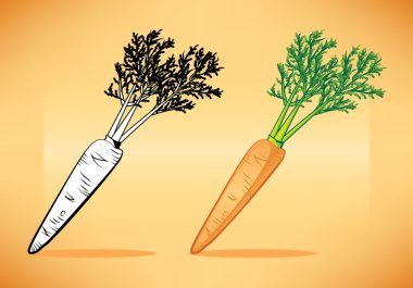 Carrot top ile