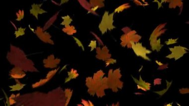 döngü sonbahar yaprakları