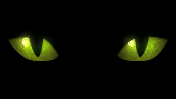 Котячі очі блимають петлі — стокове відео