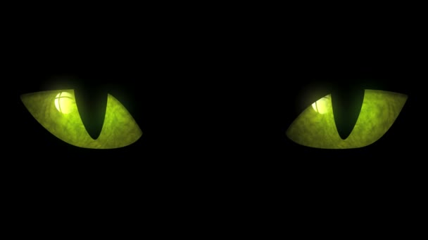 Ojos de gato parpadeando Loop — Vídeos de Stock