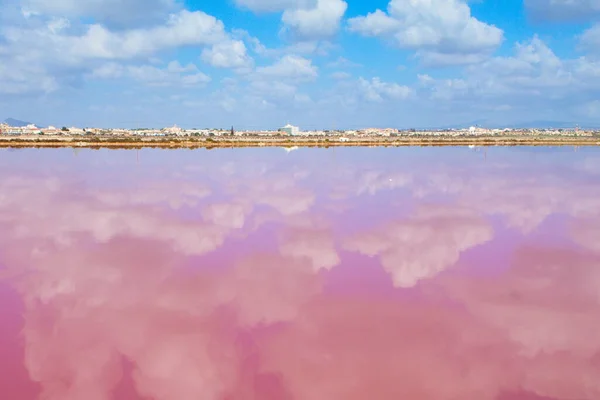 Schöne Lagunenlandschaft Für Die Salzproduktion San Pedro Del Pinatar Murcia Stockbild