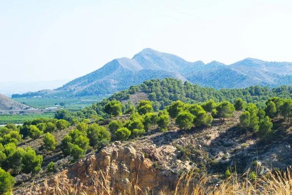 Schöne Landschaft Mit Bergen Und Bäumen Einer Geschützten Natürlichen Umgebung — Stockfoto