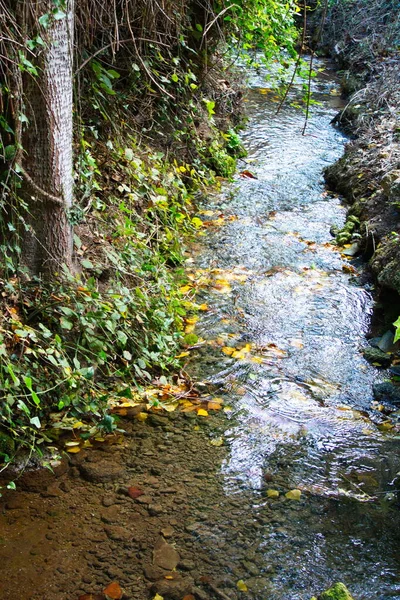 Ruhiger Wasserlauf Der Durch Die Umgebung Der Fuentes Del Marqus — Stockfoto